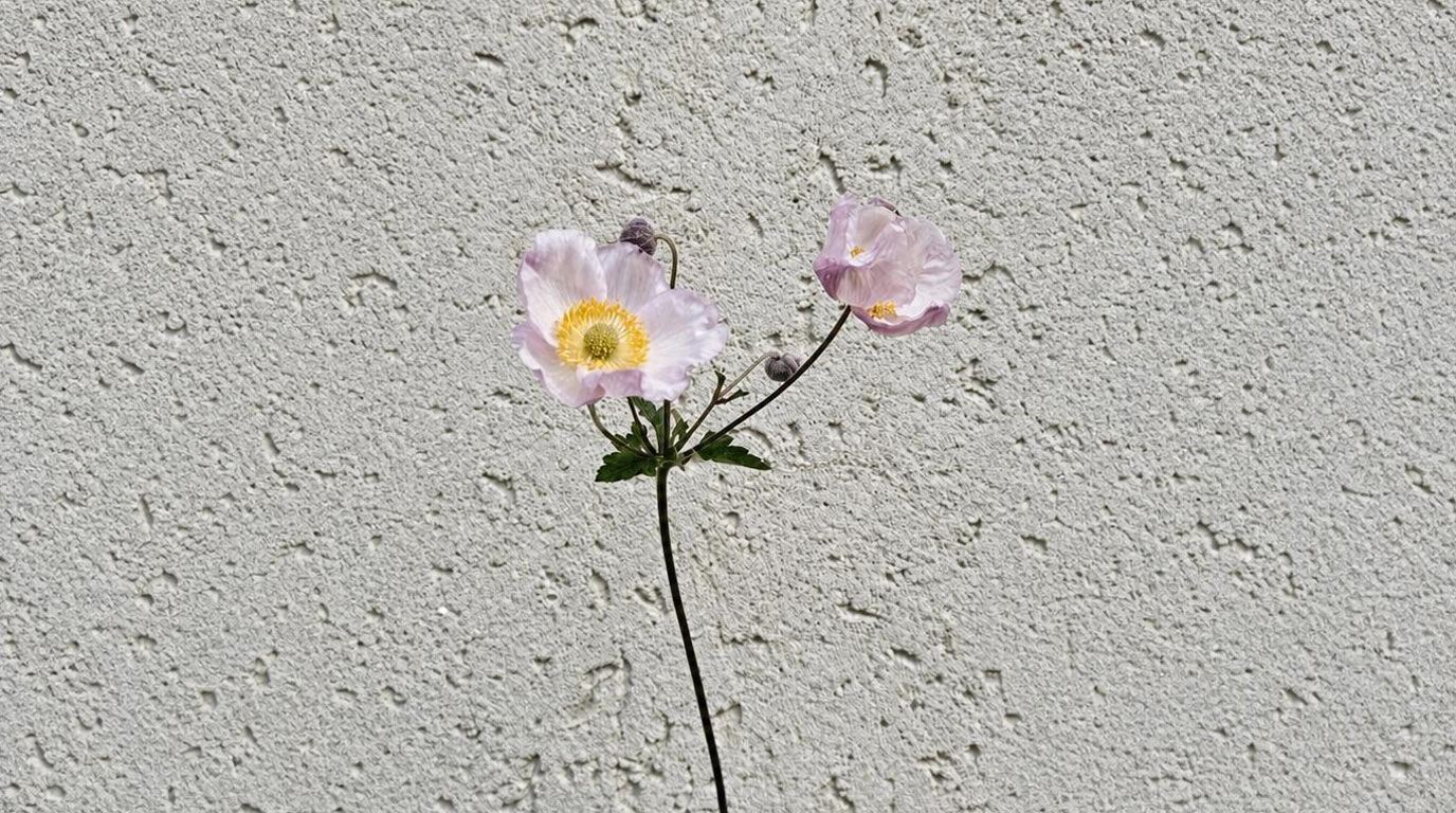Foto einer Blume nach Outpainting mit KI erweiterter Wand links und rechts